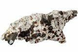 Spessartine Garnets With Smoky Quartz On Feldspar - China #238175-1